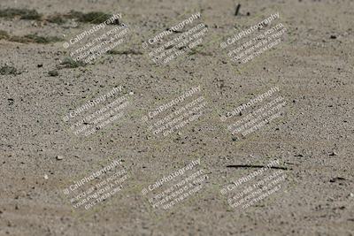 media/Oct-12-2025-Lucky Dog Racing (Sun) [[8adb5568ea]]/1-First Stint/6-Turns 2 and 1 Exit/